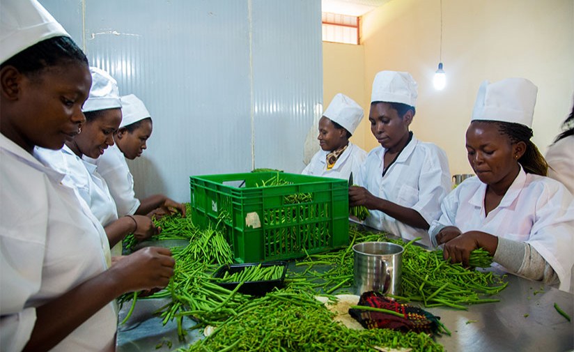 Rwanda: Trade Ministry Sets New Milk Prices