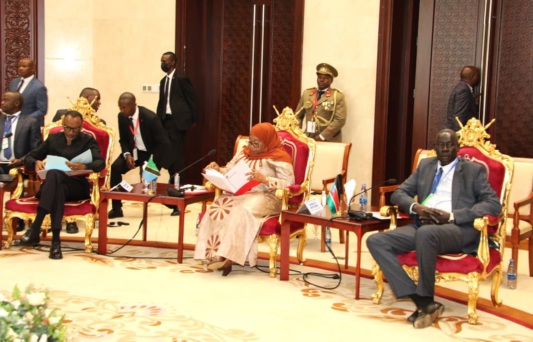 EAC leaders urge ceasefire in eastern DRC