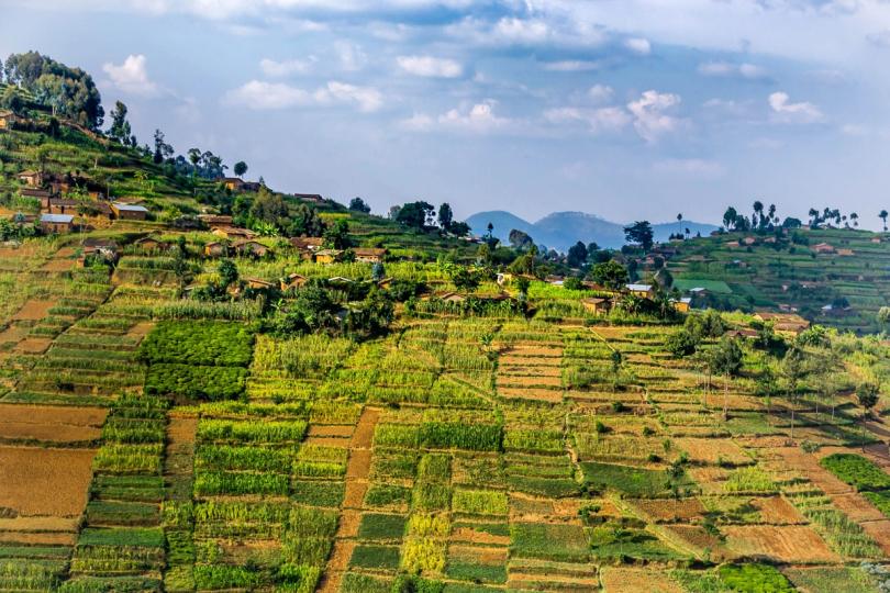 Rwanda's Central Bank Is Researching a Possible Digital Currency Launch